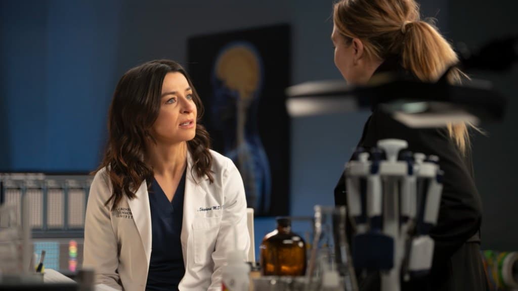 'Grey's Anatomy' Season 20 Finale to End on 'Existential Cliffhangers'
