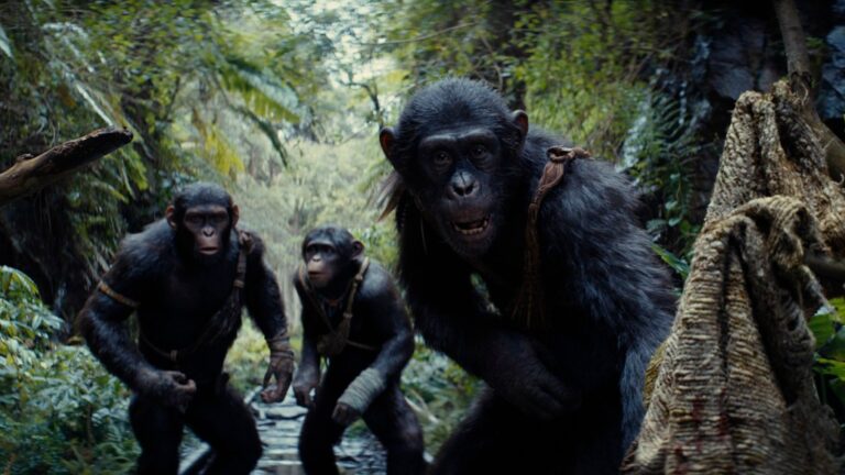 ボックス・オフィス:『猿の惑星／キングダム』が前売り上映で6,600万ドルをたたき出す