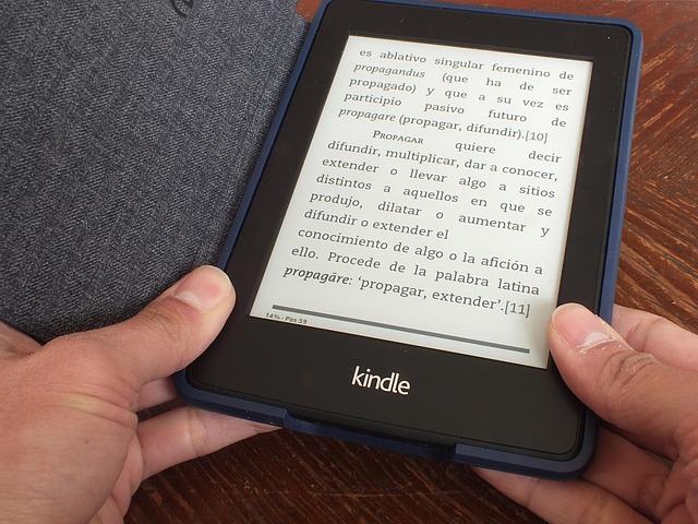 Kindleの洋書を全文翻訳して読もうとしている様子