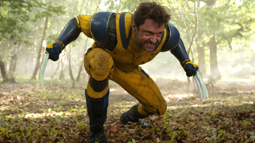 Hugh Jackman as Wolverine
