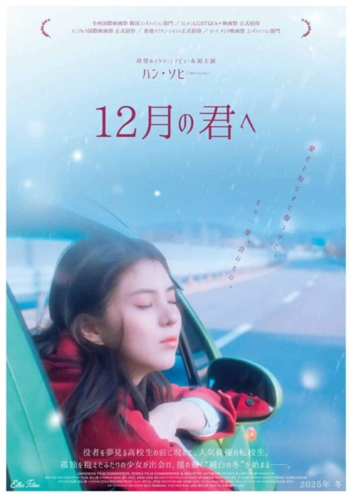 ハン・ソヒ主演映画『12月の君へ』ポスター