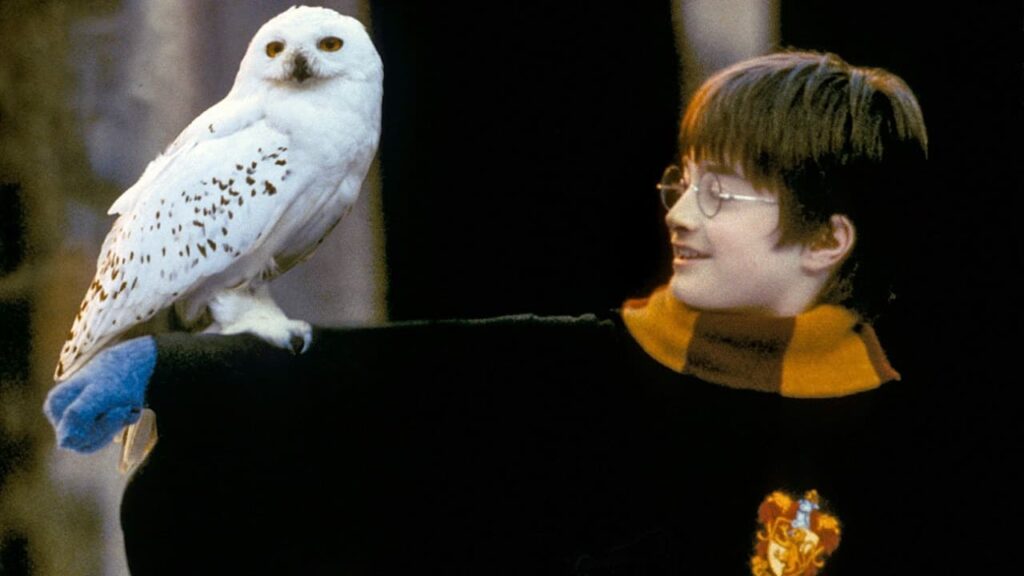 『ハリー・ポッターと賢者の石』写真：Warner Bros./Courtesy Everett Collection