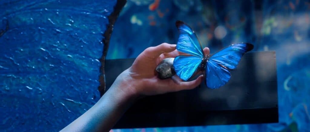 ドラマシリーズ『人間標本』より