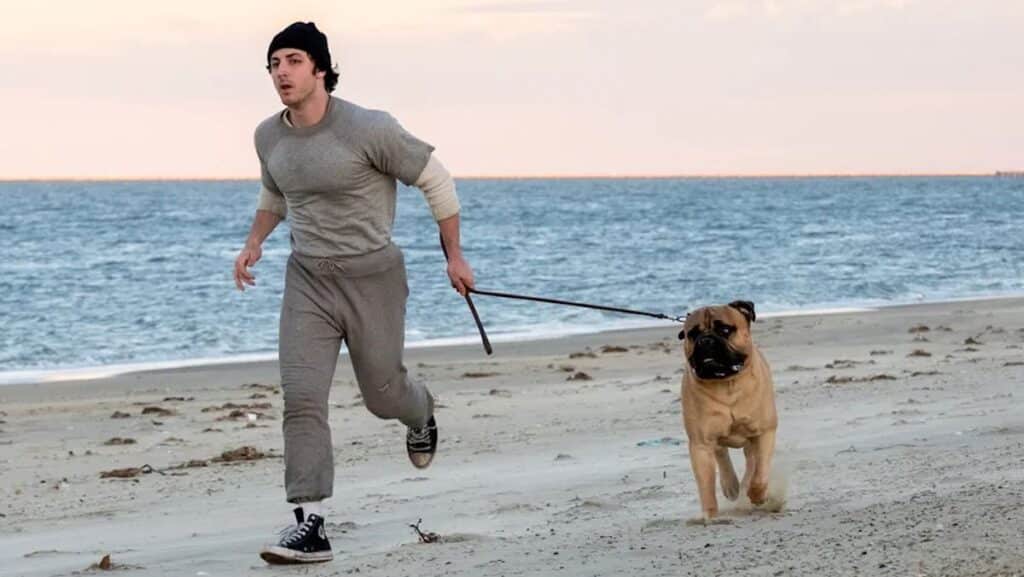 『ロッキー』誕生秘話、遂に映画化！新作『I Play Rocky』全米公開日が決定 ―― 無名俳優スタローンの知られざる葛藤とは