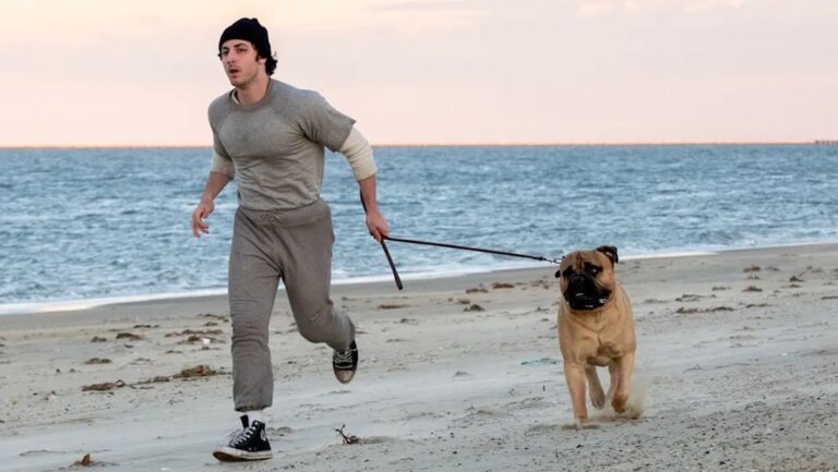 『ロッキー』誕生秘話、遂に映画化！新作『I Play Rocky』全米公開日が決定 ―― 無名俳優スタローンの知られざる葛藤とは