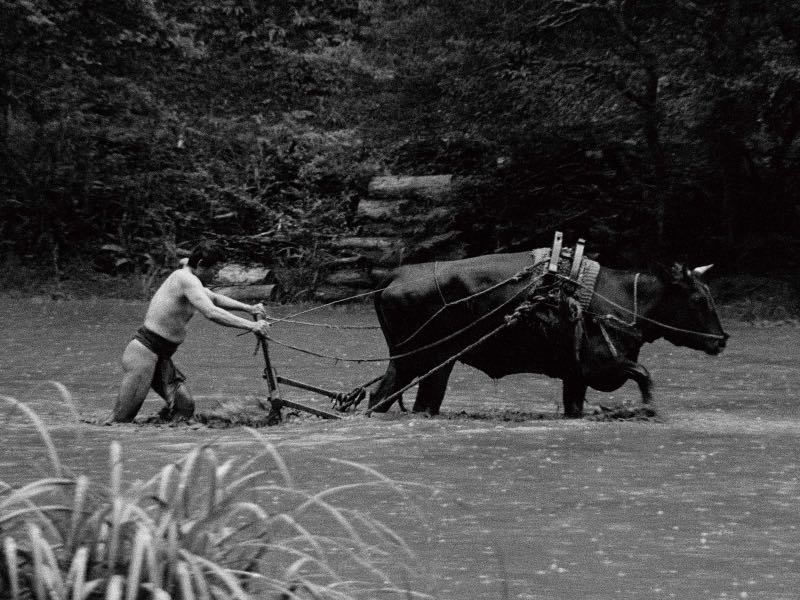 映画『黒の牛』 2026年1⽉23⽇(⾦)よりヒューマントラストシネマ有楽町、新宿 K`s cinema他 全国公開 ©NIKO NIKO FILM / MOOLIN FILMS / CINEMA INUTILE / CINERIC CREATIVE / FOURIER FILMS