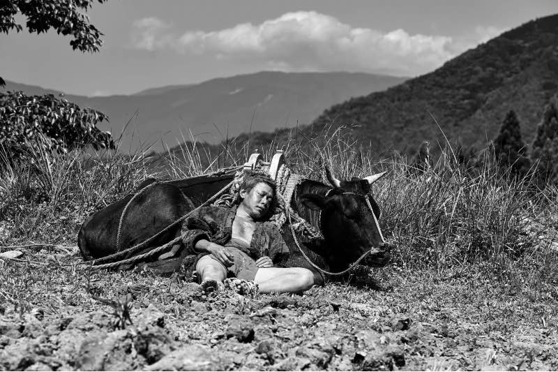 映画『黒の牛』 2026年1⽉23⽇(⾦)よりヒューマントラストシネマ有楽町、新宿 K`s cinema他 全国公開 ©NIKO NIKO FILM / MOOLIN FILMS / CINEMA INUTILE / CINERIC CREATIVE / FOURIER FILMS