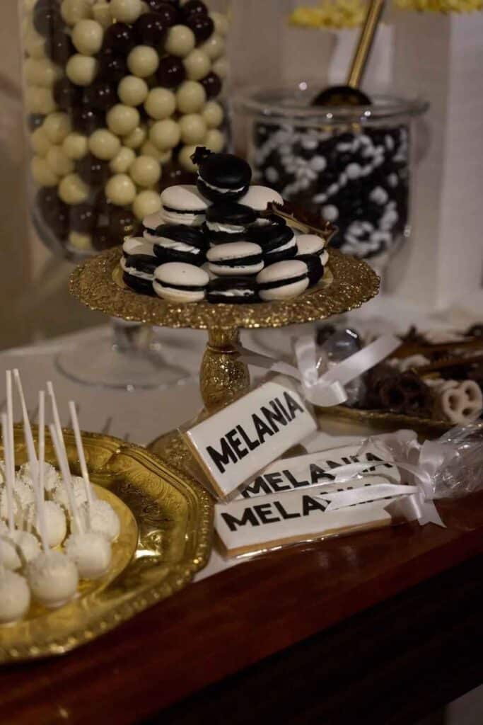 映画『メラニア』極秘上映会 写真:Regine Mahaux