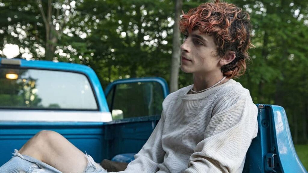 『ボーンズ アンド オール』より