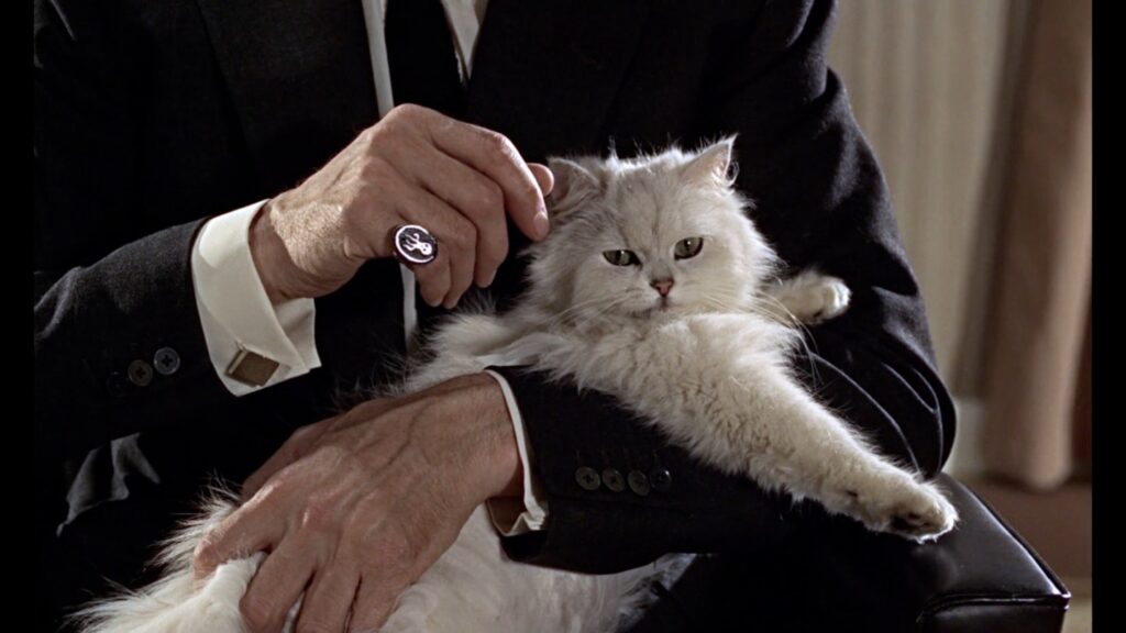 ドキュメンタリー映画『ラスト・ムービーズ』原作者・監督が核心に迫る、スタンリー・シュティンター原作『Last Movies（原題）』