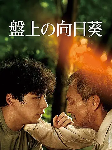 盤上の向日葵
2025年