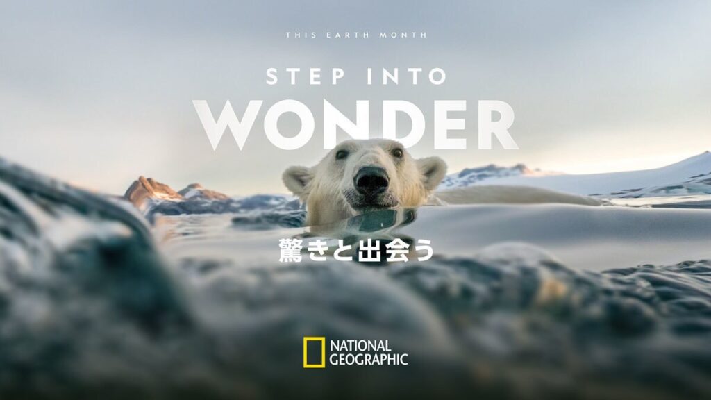 ナショジオ写真家アナンド・ヴァルマ、日本メディアにオンライン初対応！　“おどろき”と観察の哲学を語る