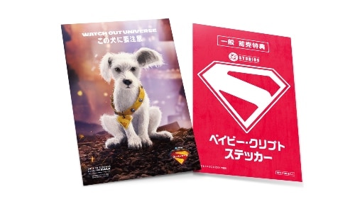 映画『スーパーガール』ムビチケ