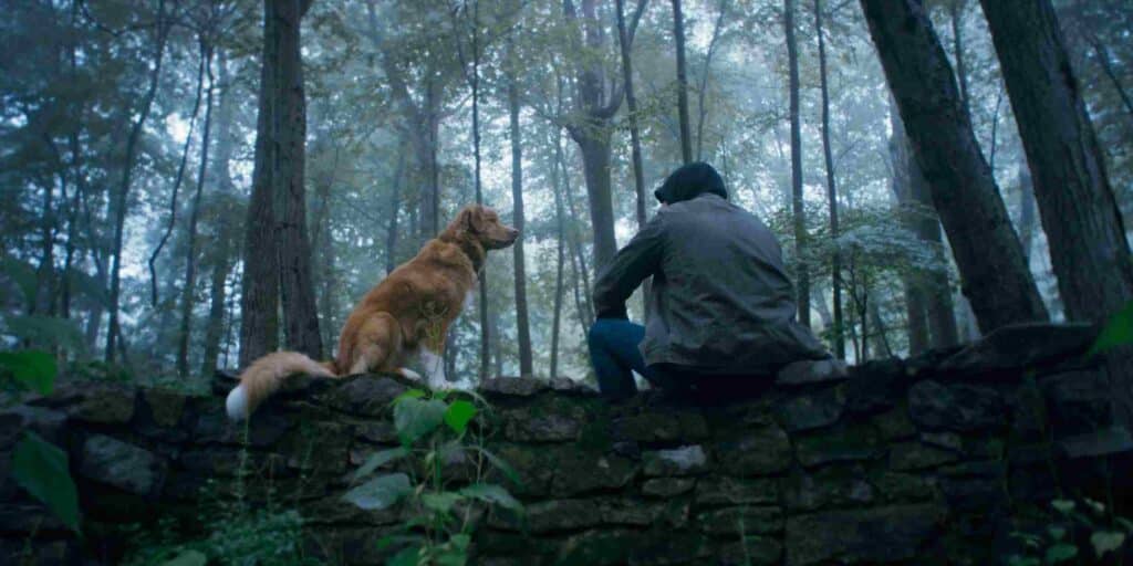 『GOOD BOY/グッド・ボーイ』