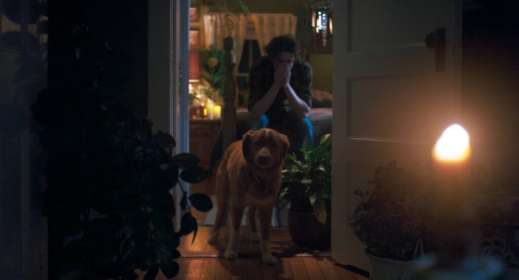 全編“犬視点”ホラー『GOOD BOY／グッド・ボーイ』本予告解禁