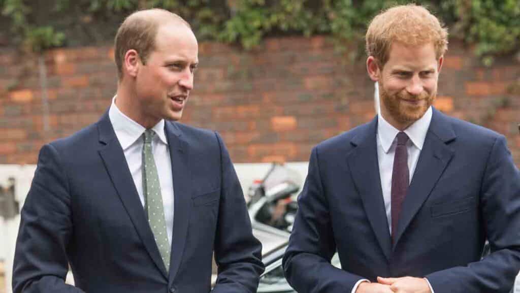 ウィリアム皇太子、ヘンリー王子 写真:Samir Hussein/Getty