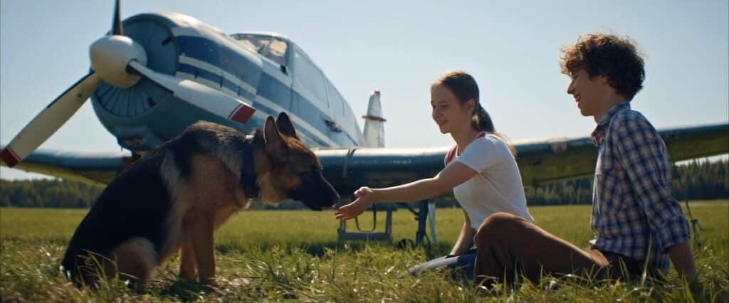 『こぐまとパルマの物語』8月28日公開 愛犬動画投稿で“パルマぬいぐるみ”が当たるキャンペーン開催