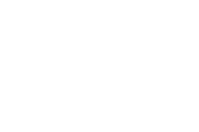 america 250 logo white