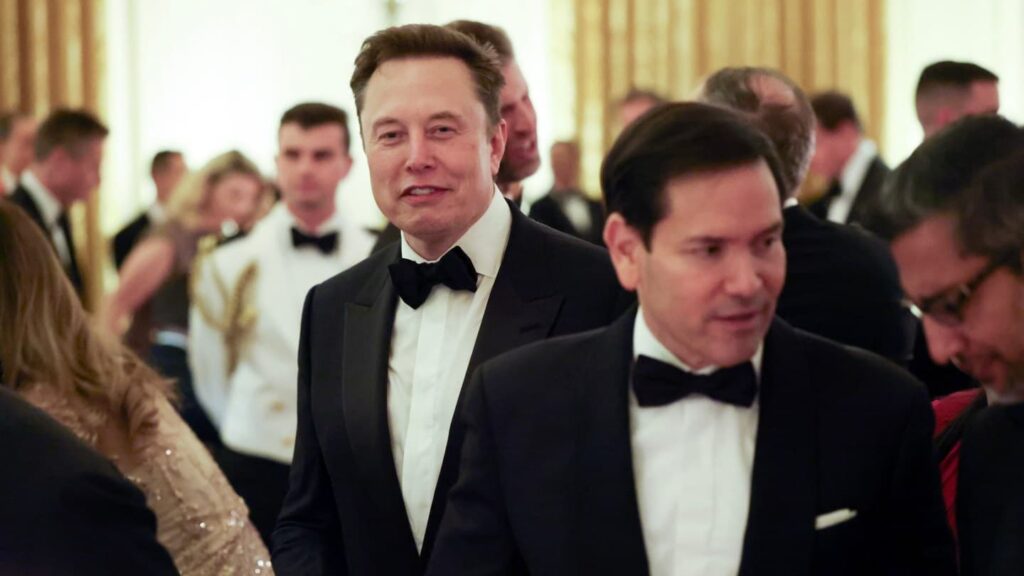 注目のイーロン・マスク映画、主要プラットフォームから前代未聞の広告排除